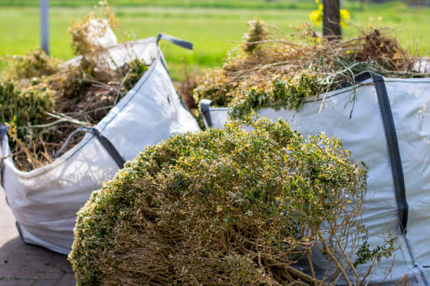 Best Professional Junk Removal  in Festus, MO