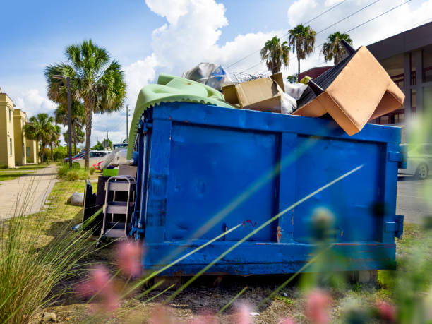 Best Junk Hauling Services  in Festus, MO